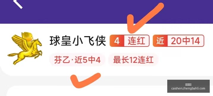 瑞典超全胜,狂欢连续,场胜利,彩神争霸,综合娱乐平台,在线娱乐服务,体育游戏互动,稳定娱乐平台