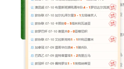 2026最新：海豚河内水牛数据评测全解析